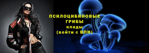 тгк Беломорск