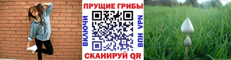 Псилоцибиновые грибы мухоморы  Енисейск 